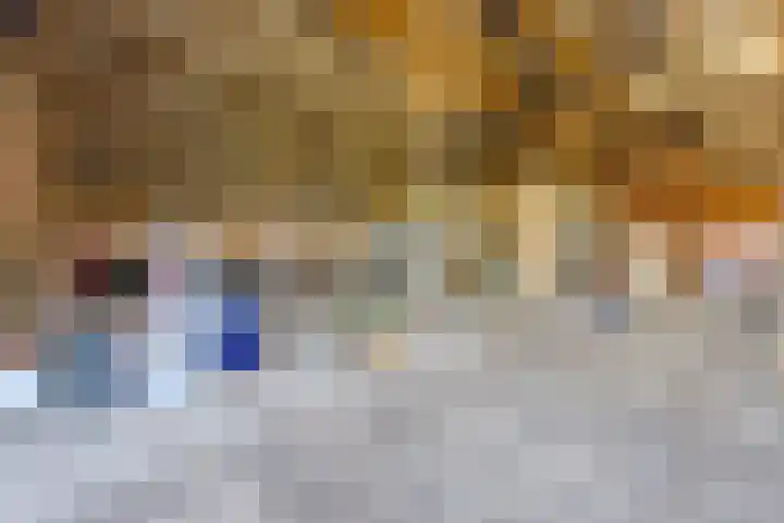 De Bruilweg 8 Ter Apel thumbnail 42