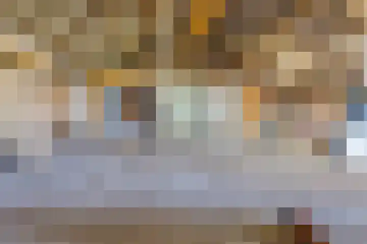 De Bruilweg 8 Ter Apel thumbnail 44