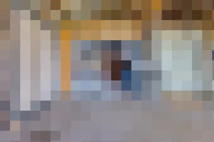 De Bruilweg 8 Ter Apel thumbnail 45