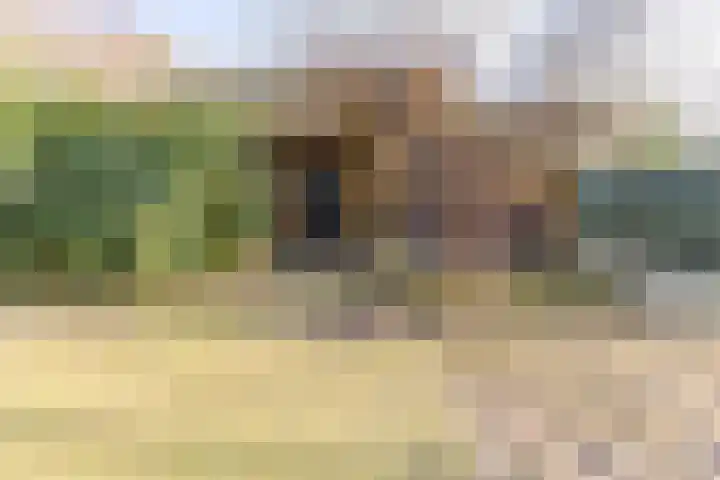De Bruilweg 8 Ter Apel thumbnail 48