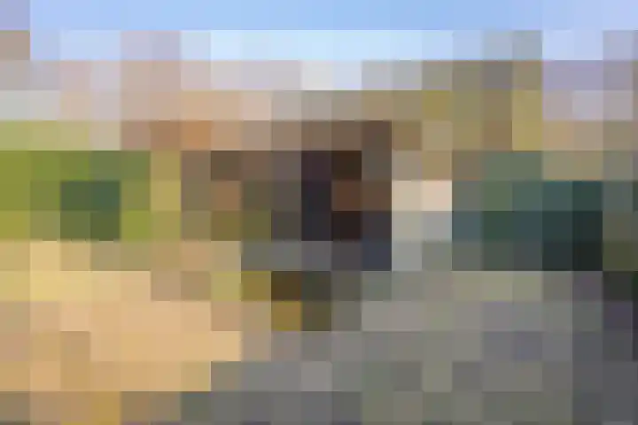 De Bruilweg 8 Ter Apel thumbnail 49