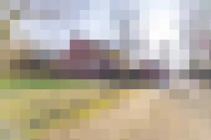 De Bruilweg 8 Ter Apel thumbnail 5