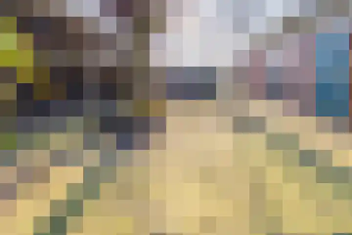De Bruilweg 8 Ter Apel thumbnail 51