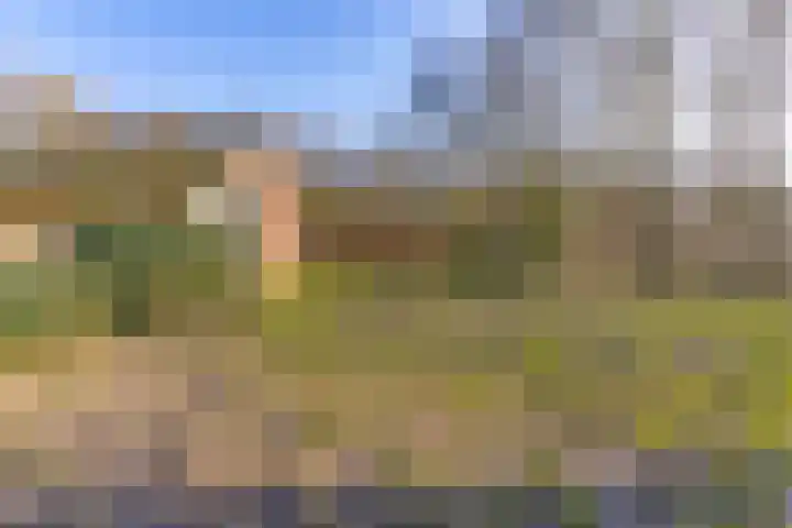 De Bruilweg 8 Ter Apel thumbnail 52