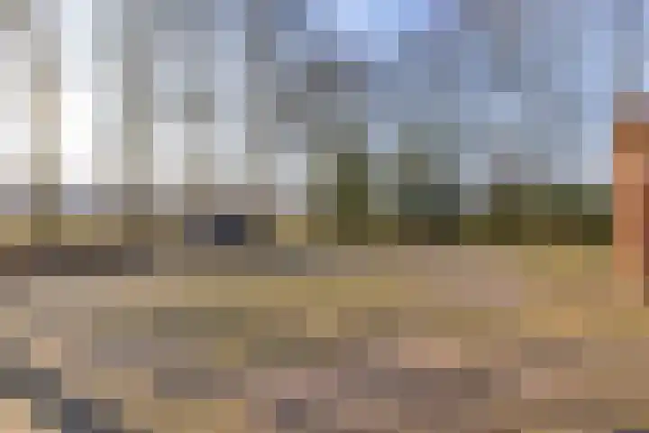 De Bruilweg 8 Ter Apel thumbnail 53