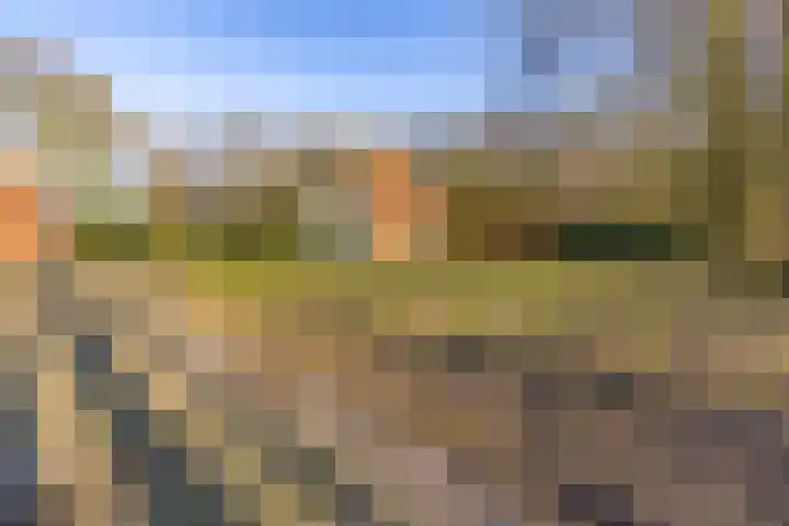 De Bruilweg 8 Ter Apel thumbnail 54