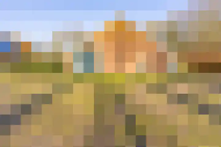 De Bruilweg 8 Ter Apel thumbnail 55