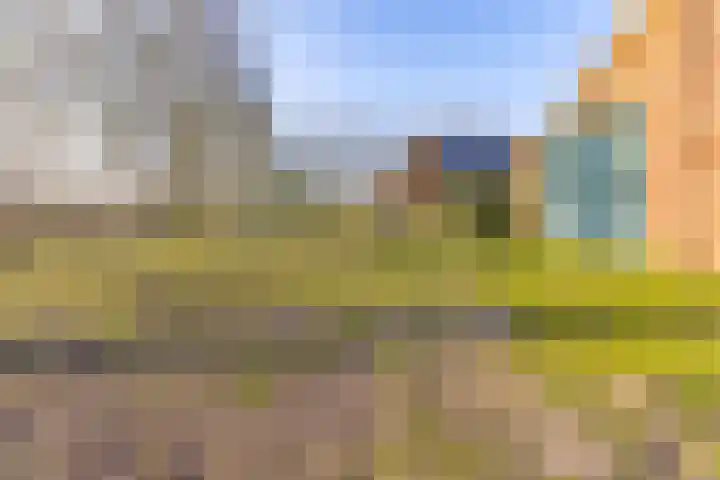 De Bruilweg 8 Ter Apel thumbnail 57