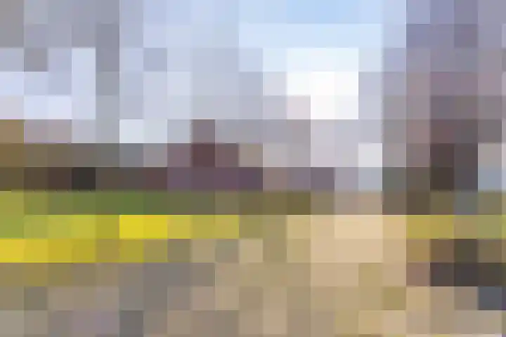 De Bruilweg 8 Ter Apel thumbnail 6
