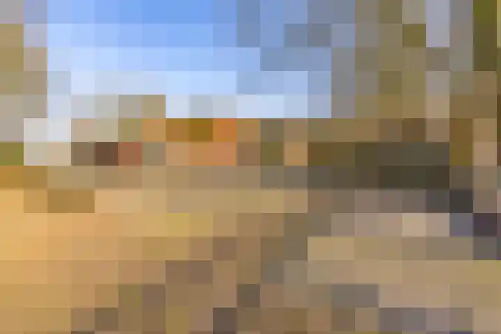 De Bruilweg 8 Ter Apel thumbnail 63