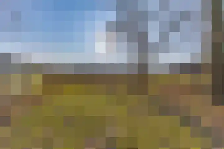 De Bruilweg 8 Ter Apel thumbnail 64