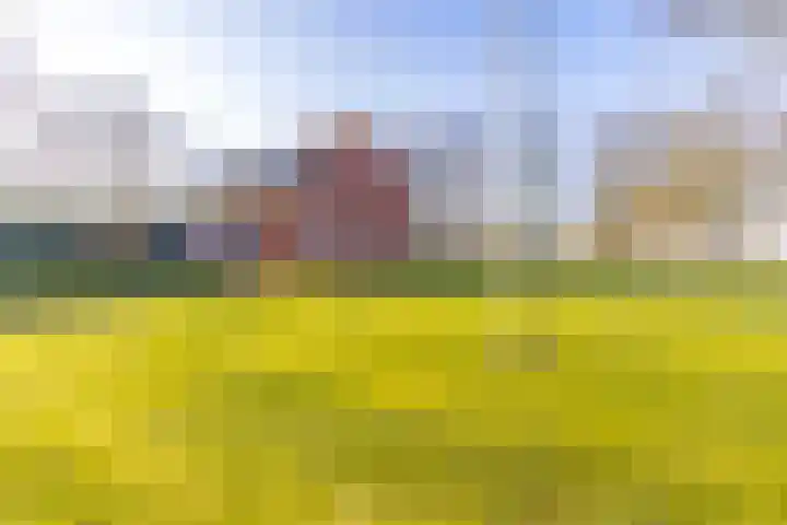 De Bruilweg 8 Ter Apel thumbnail 7