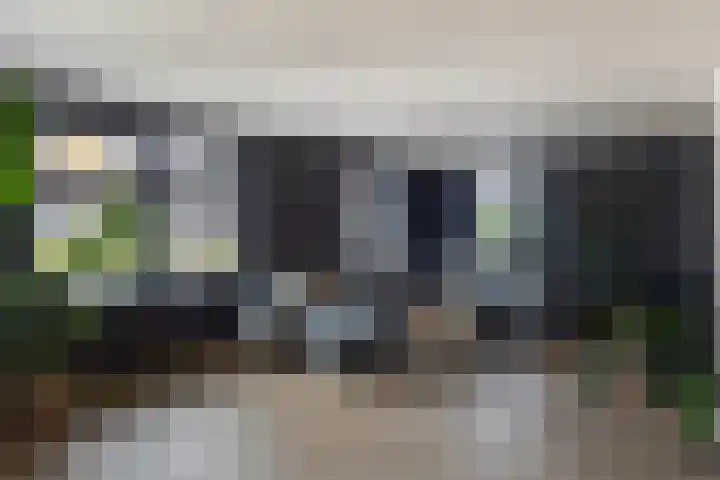 De Buffer 19 Tzummarum thumbnail 11