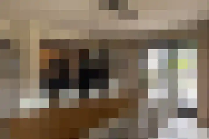 De Buffer 19 Tzummarum thumbnail 15