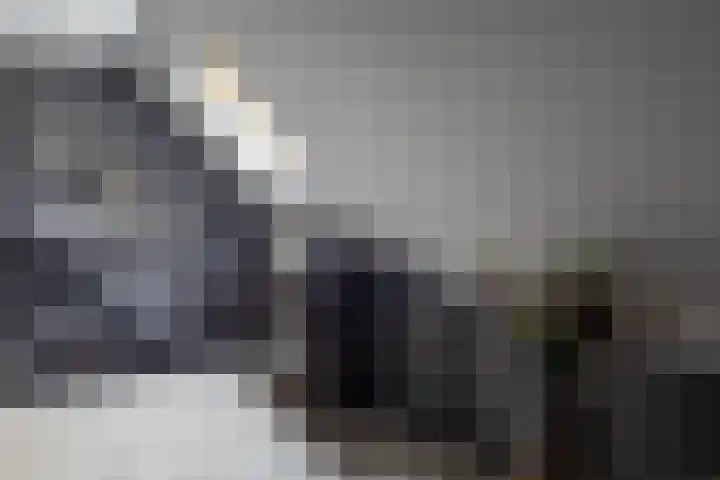 De Buffer 19 Tzummarum thumbnail 31