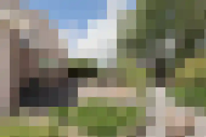 De Buffer 19 Tzummarum thumbnail 48