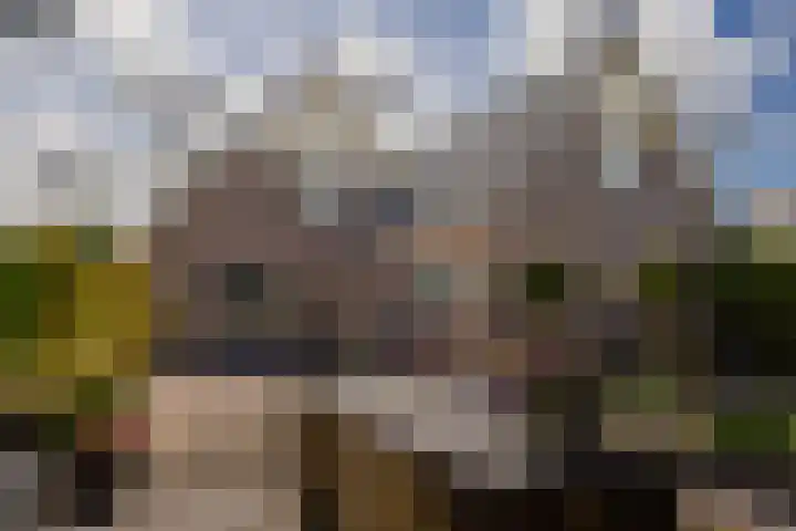 De Buffer 19 Tzummarum thumbnail 51