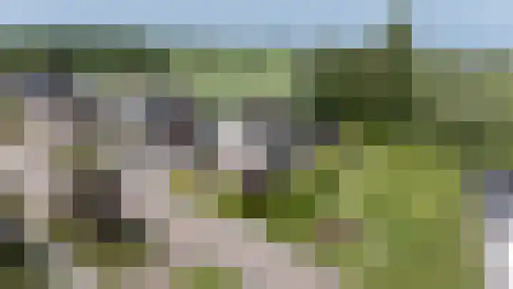 De Buffer 19 Tzummarum thumbnail 8
