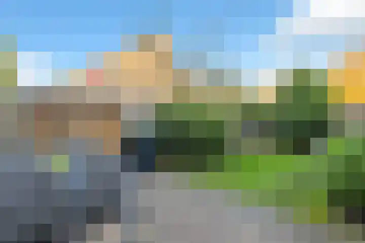 De Buiskap 11 Dronten thumbnail 32