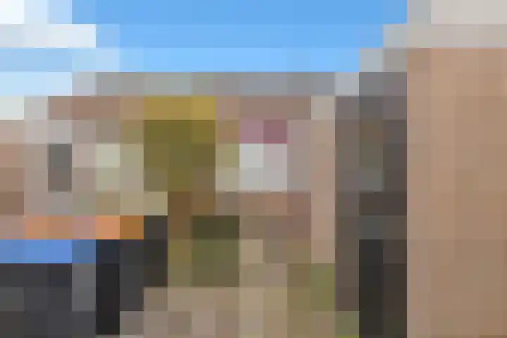 De Buiskap 11 Dronten thumbnail 39