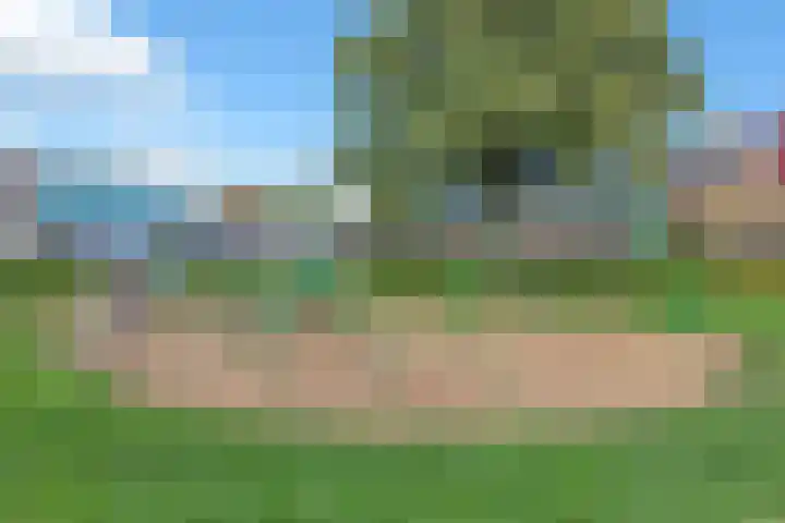 De Buiskap 11 Dronten thumbnail 45