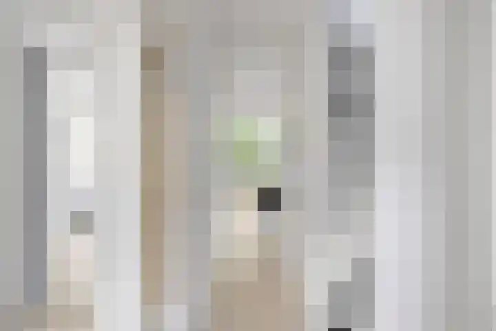 De Buiskap 43 Dronten foto 2