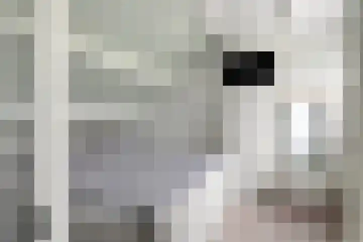 De Buiskap 43 Dronten thumbnail 21