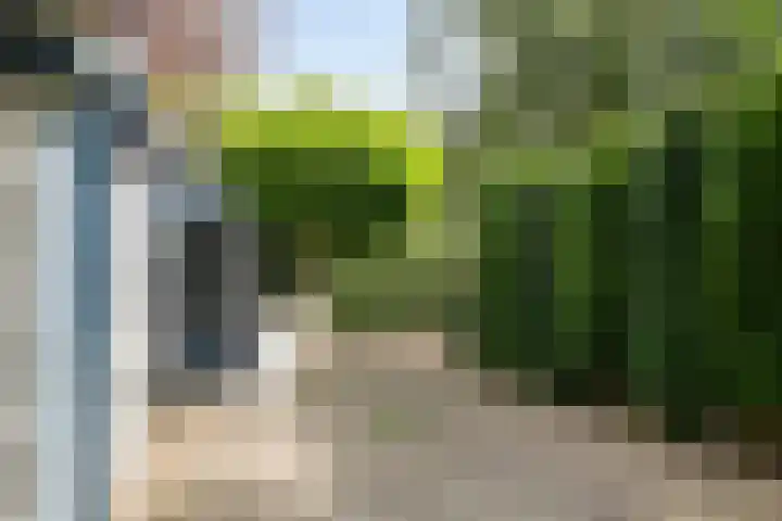 De Buiskap 43 Dronten thumbnail 25