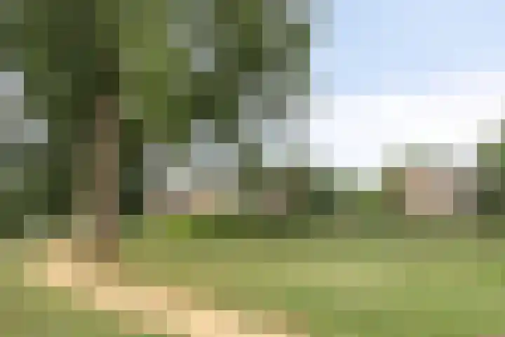 De Buiskap 43 Dronten thumbnail 28