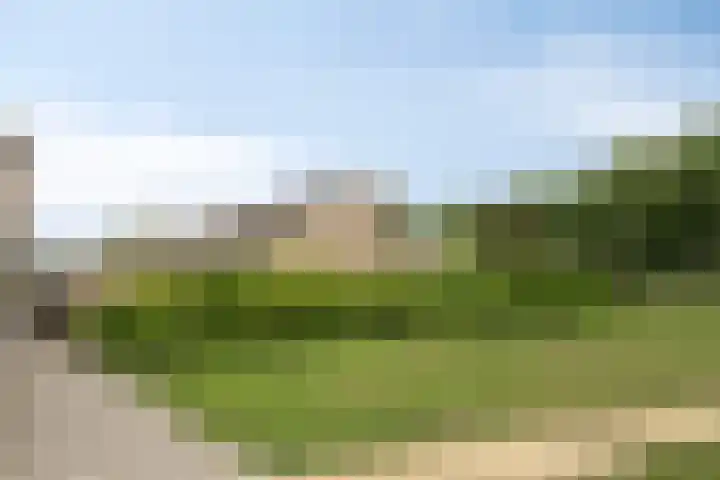 De Buiskap 43 Dronten thumbnail 29