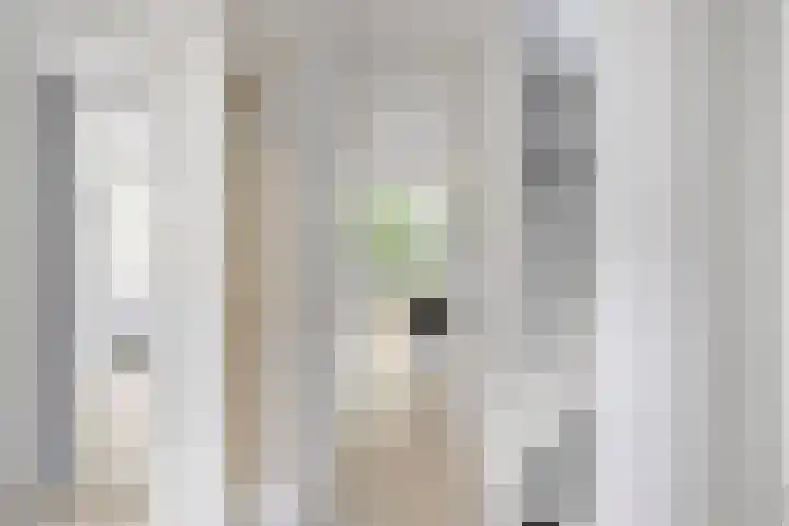 De Buiskap 43 Dronten thumbnail 5