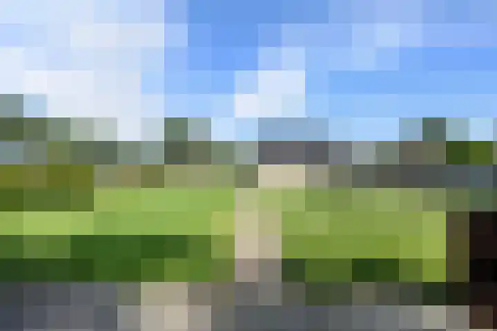 De Buiskap 45 Dronten thumbnail 15
