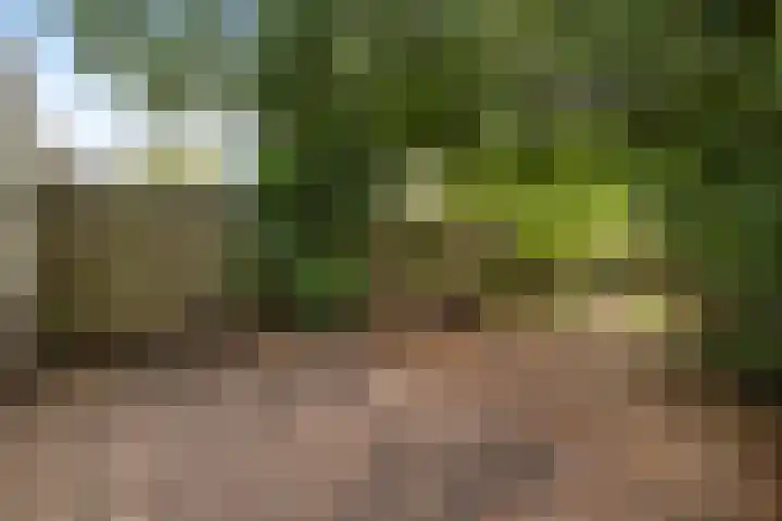 De Buiskap 45 Dronten thumbnail 15