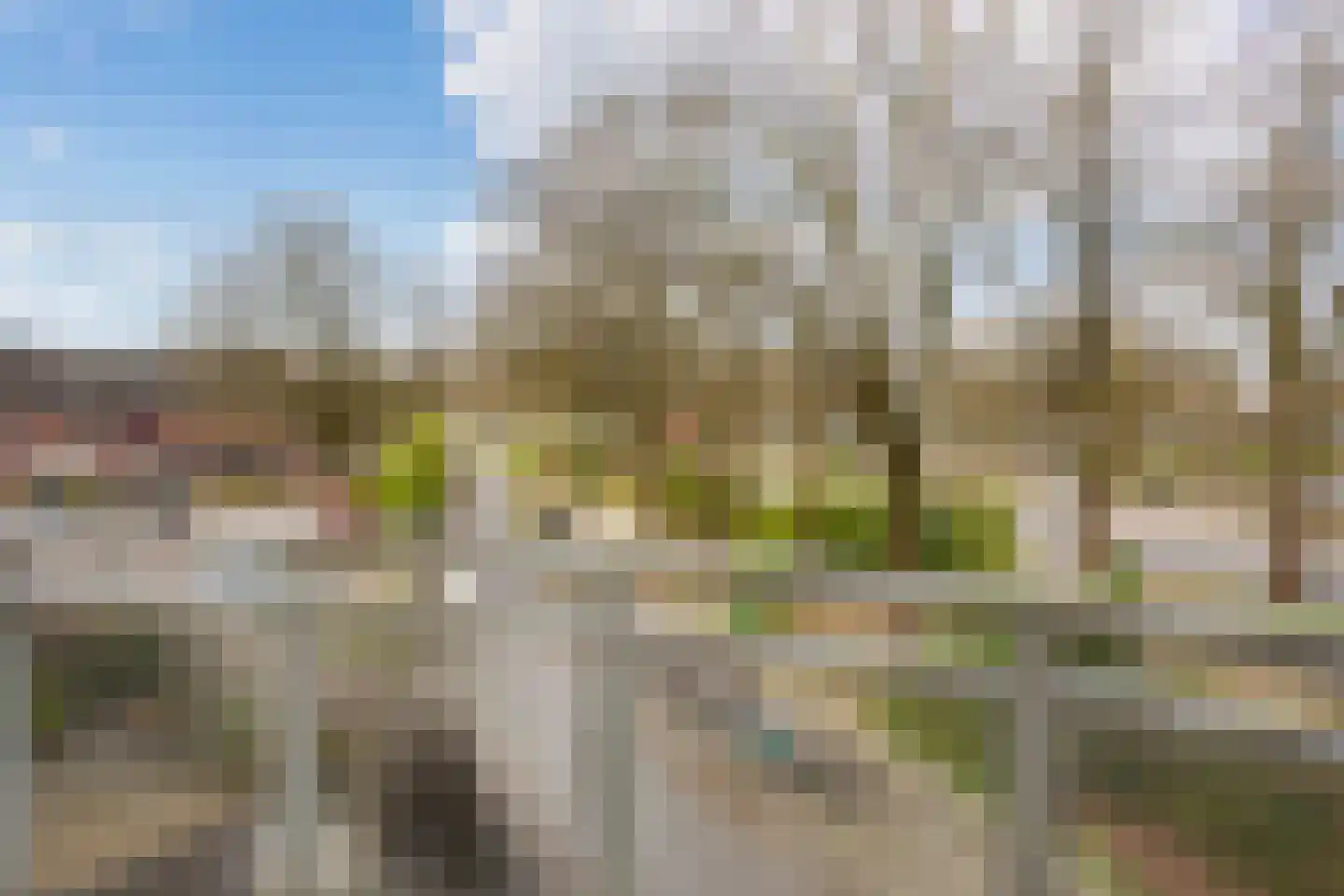 De Buiskap 45 Dronten thumbnail 22