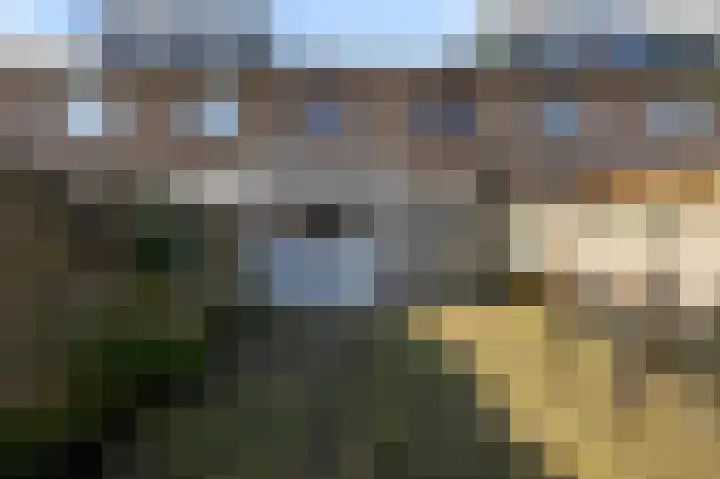 De Buiskap 68 Dronten thumbnail 30