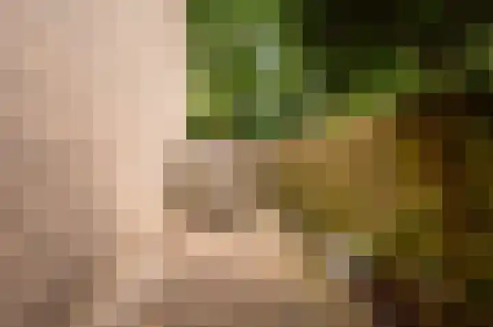 De Buiskap 68 Dronten thumbnail 32