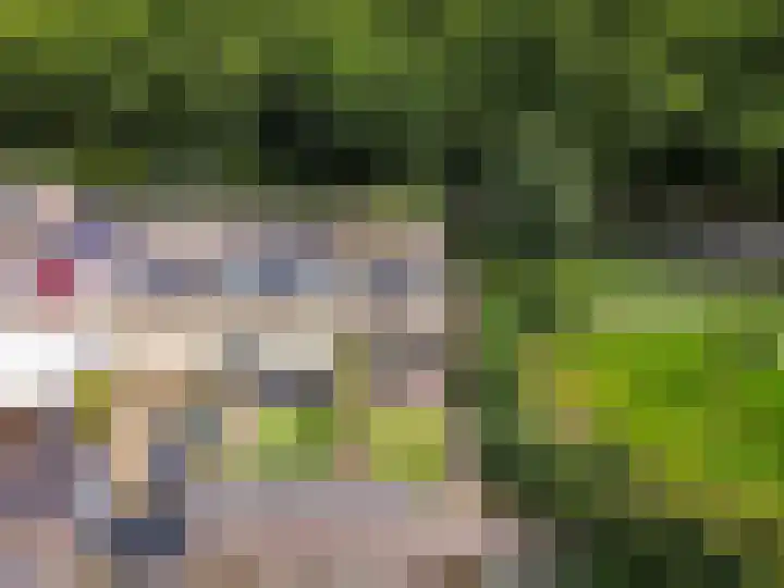 De Buiskap 68 Dronten thumbnail 33