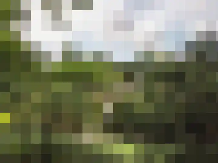 De Buiskap 68 Dronten thumbnail 36