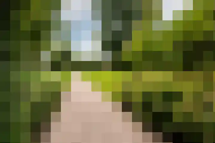 De Buiskap 68 Dronten thumbnail 38