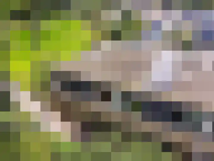 De Buiskap 68 Dronten thumbnail 39