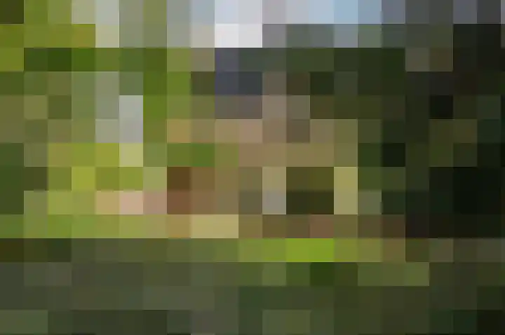 De Buiskap 68 Dronten thumbnail 48