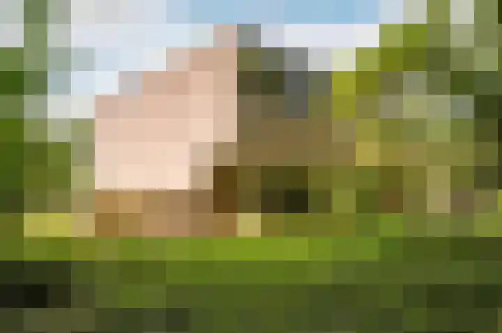 De Buiskap 68 Dronten thumbnail 5
