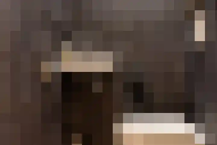 De Buitengracht 38 Steenwijk thumbnail 18