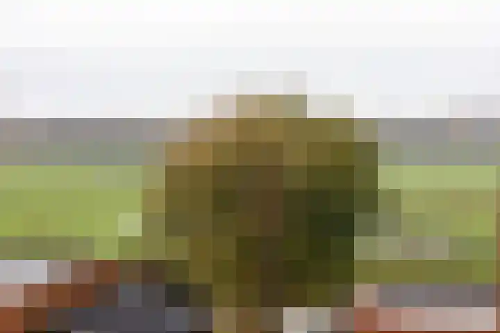 De Buitengracht 38 Steenwijk thumbnail 34