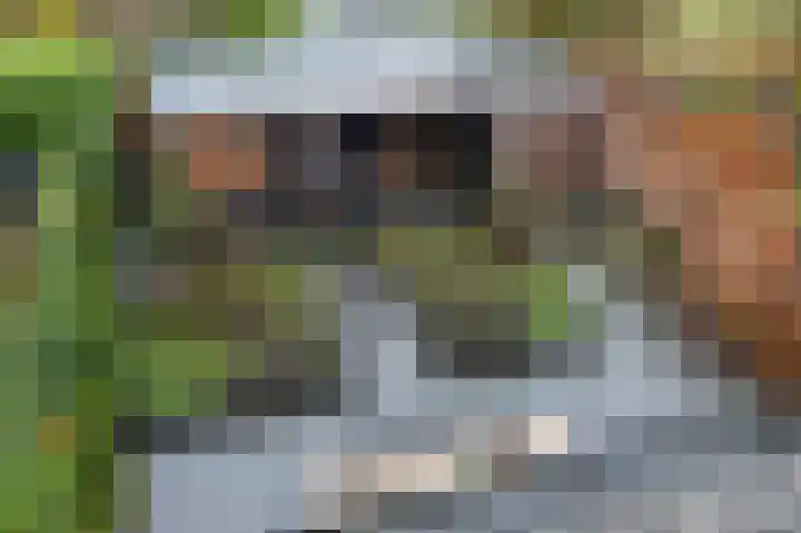 De Buitengracht 38 Steenwijk thumbnail 41