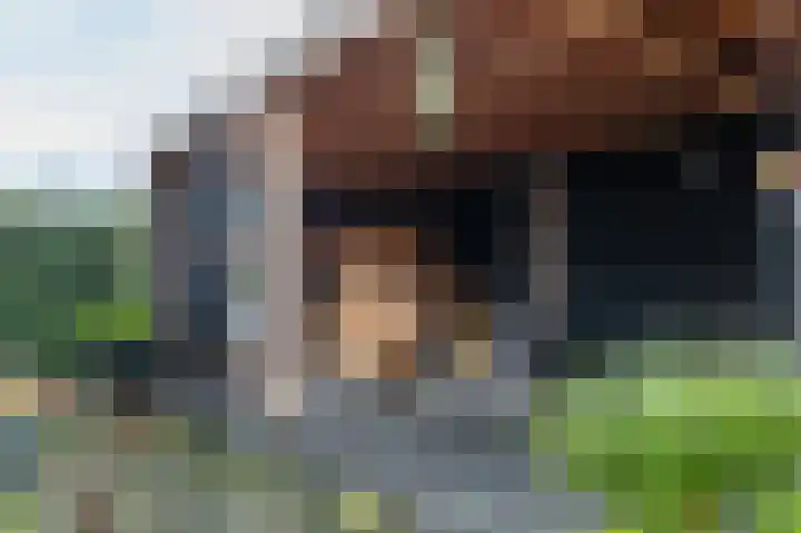 De Buitengracht 38 Steenwijk thumbnail 48