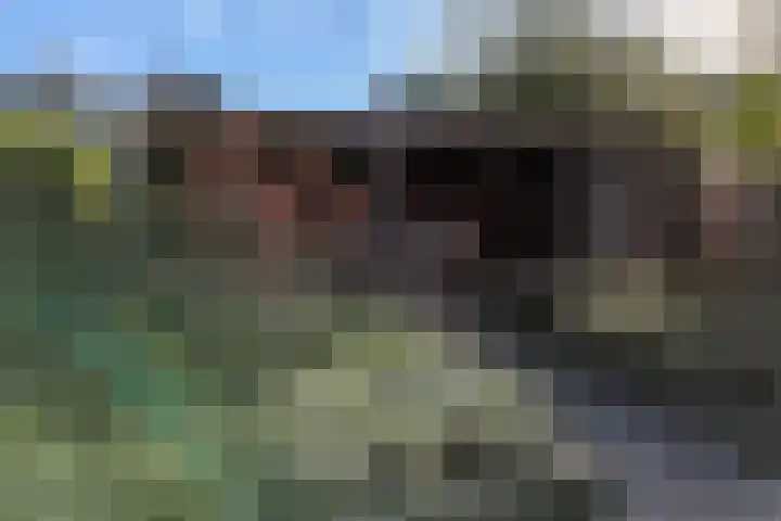 De Buitengracht 38 Steenwijk thumbnail 61
