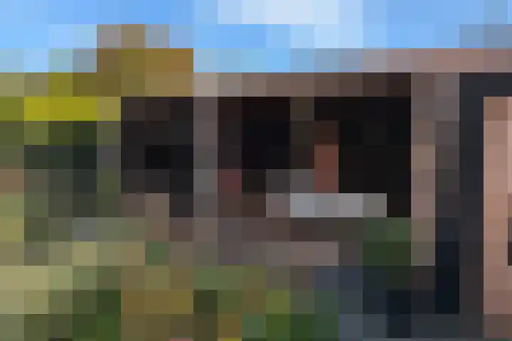 De Buitengracht 38 Steenwijk thumbnail 63