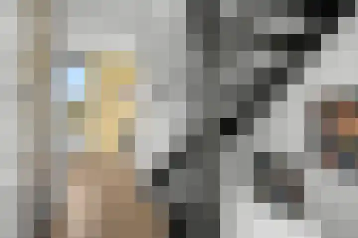 De Buitentuin 12 Apeldoorn thumbnail 22