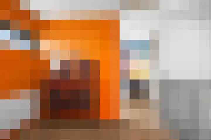 De Buitentuin 12 Apeldoorn thumbnail 23